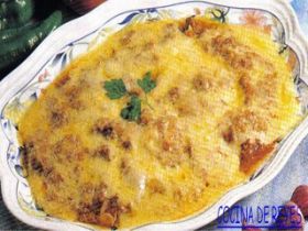 ADICION GRATINADO DE CARNES